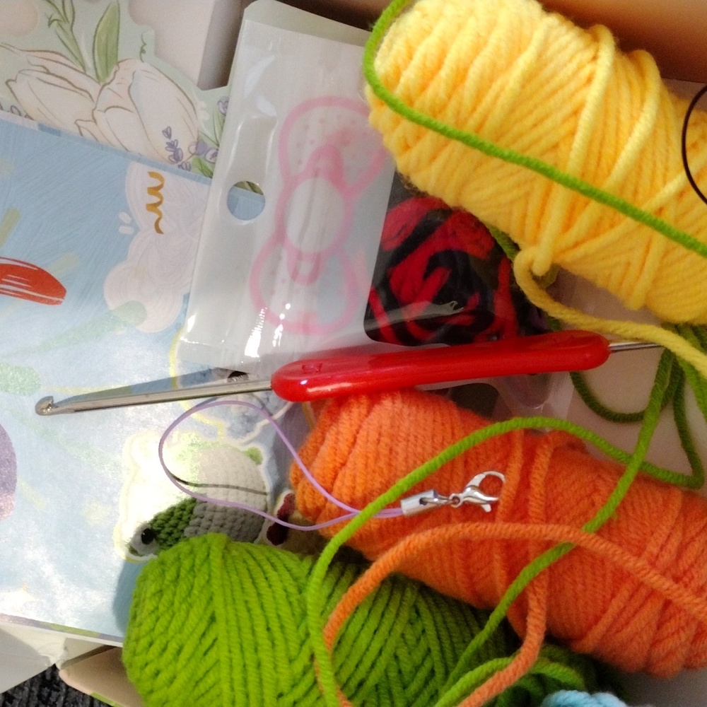 Beginner Crochet Kit - Multicolor - Picture 4 of 5